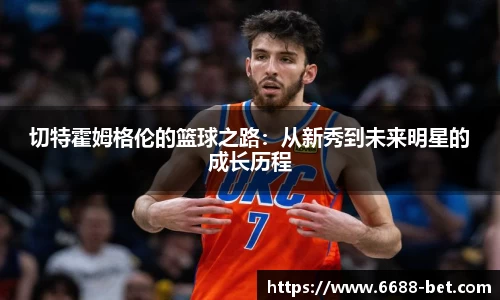 6686体育官网入口